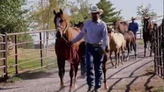 Montana Horse Ranch  Americas Heartland [upl. by Aikit716]