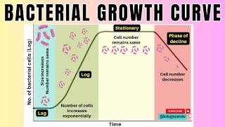 Bacterial Growth Curve in 2 minutes4 Phases of Microbial Growth Curve🦠 Microbiologybiologyexams4u [upl. by Leakim]