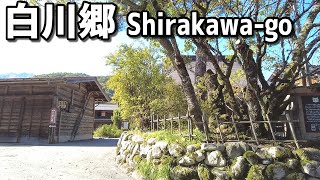 Japan Shirakawago Walking Tour  Gifu  Hongakuji Temple [upl. by Mailliwnhoj32]