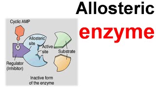 Allosteric enzyme [upl. by Gipsy]