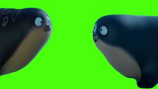 seal beatboxing meme Green Screen [upl. by Erialc]