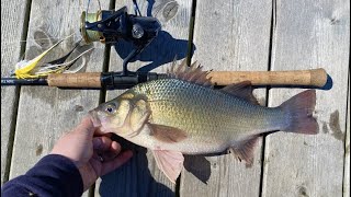 HUGE White Perch amp Holdover Stripers [upl. by Dimitry]