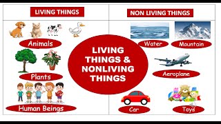 Living Things and Nonliving Things livingthings nonlivingthings evs [upl. by Ecyal711]