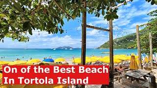 Cane Garden Bay Tortola Review One ot the Best Beach 20min from Cruise Port [upl. by Yzus]