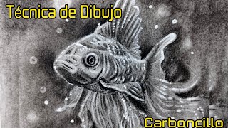 Aplicando técnica de dibujo Carboncillo más borrador  DIBUJO [upl. by Ahsac61]