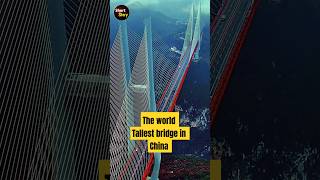 beipanjiang bridge  The Worlds tallest bridge bridge grandcanyon construction youtubeshorts [upl. by Ecirahc917]