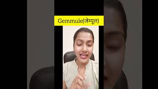 जेम्युल क्या होता है  What is gemmule biology class 12 [upl. by Carman]