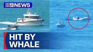 Fisherman knocked unconscious by a whale’s tail  9 News Australia [upl. by Zetes]