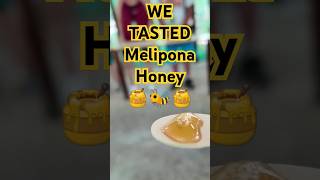 Melipona honey meliponahoney cozumel marineroftheseas rccl cruiseexcursion mayanbeesanctuary [upl. by Silvain723]