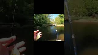 Creek fishing for panfish [upl. by Nodnelg965]