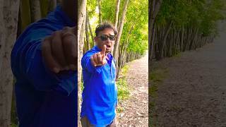 O Priya Tumi Kothay Asif Akbar shortstrendingyoutubeshortsCuteShyamal [upl. by Nylatsirhc]