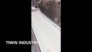 Disinfectant Tablet amp Clean Tablet Production Line [upl. by Lavicrep]