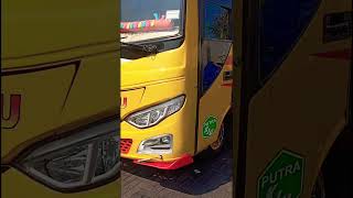 Winglet Universal Bus Medium winglet wingletuniversal shortsfeed shortvideo OniRohmani [upl. by Greysun344]