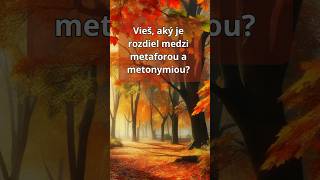 Rozdiel medzi METAFOROU a METONYMIOU shorts literatura literarnateoria [upl. by Riabuz]