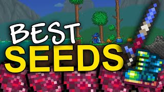 The BEST Terraria seeds 1449 [upl. by Kippy]