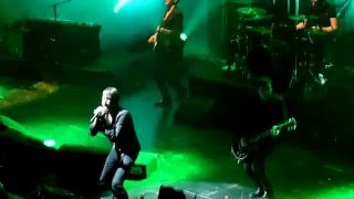 Suede  Metal Mickey  Live At Tivoli Vredenburg Utrecht 30012016 [upl. by Linskey]