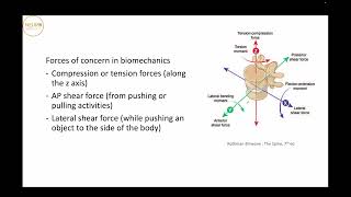 Neurosurgery Basics Lecture  Spine Anatomy and Biomechanics Part 2 [upl. by Calhoun]