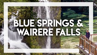 Blue Springs amp Wairere Falls  Day Trips from Tauranga [upl. by Assirehc]