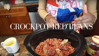 Red Beans and Rice  CreoleStyle Spicy Red Beans amp Rice Recipe [upl. by Alihet]