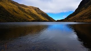 Documental El Agua de los Paramos y bosques de neblina [upl. by Anika]