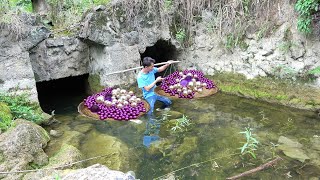 From Riverbed to RichesGirls Dig Unveils Giant Mussel Holding Surprise of Valuable Rare Treasures [upl. by Melessa]