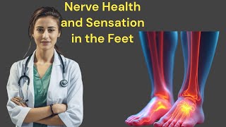 Nerve Health and Sensation in the Feet [upl. by Bidle]