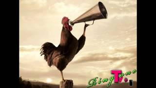 Morning Rooster Sound  Ringtone [upl. by Tenahs622]