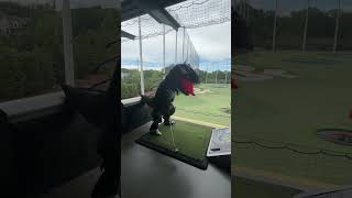 Top Golf Shenanigans With Matt From spiritpond golfshorts [upl. by Lemak27]