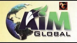 Alliance In Motion GLOBAL Business Opportunity English [upl. by Crisey]