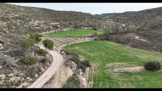 Batida Exitosa de Jabalí en Nalec Una Jornada para el Recuerdo 🌲🐗 [upl. by Worra33]