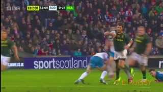 Willie Le Roux  Springboks amp Cheetahs  HD [upl. by Kavita]