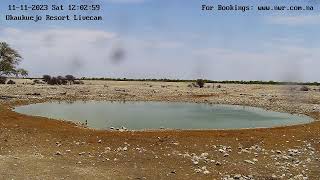 Okaukuejo Resort Wildlife Waterhole Live camera stream in the Etosha National Park in Namibia [upl. by Stacey]