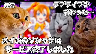 メインの音ゲーがサービス終了したラブライブ【猫ミーム】 猫マニ 猫ミーム [upl. by Shaya26]