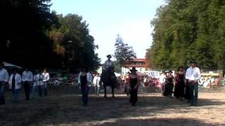 Tag des Pferdes Böheimkirchen WesCo Liners Achy Breaky mit pferd Linedance [upl. by Llednahs]