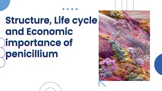 Unit 92 Penicillium Structure Life cycle and Economic importance tscmavisecond paperscience [upl. by Otsuaf941]