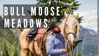 Bull Moose Meadows Absaroka Beartooth Wilderness [upl. by Steen]