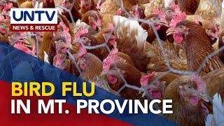 Cases of bird flu or avian influenza detected in two barangays in Pinukpuk Kalinga Mt Province [upl. by Cooley]