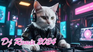 Dj Remix 2024 [upl. by Laverna465]