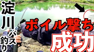 秋の淀川バス釣りで初めてボイル撃ちに成功した [upl. by Ayotl]