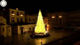 BARI  Accensione Albero di Natale a piazza Ferrarese 2020 [upl. by Nilerual]