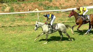 BRILLIANT LADY wins The Rahys Serenade Handicap Div2 [upl. by Eiralav]