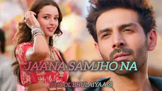 Jaana Samjho Na Lyrics  Bhool Bhulaiyaa 3  Aditya Rikhari  Tulsi Kumar DJ Chetas [upl. by Yatnahc142]