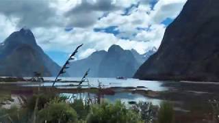 Milford Sound Coach and Cruise with Real Journeys [upl. by Elolcin]