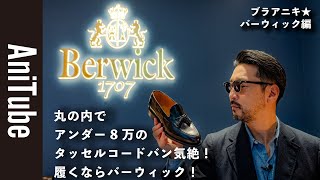 【ブラアニキ★バーウィック編】丸の内でアンダー8万のタッセル コードバン気絶！履くならバーウィック！ グッドイヤーのBerwick1707がコスパ最強すぎる！ [upl. by Elletsyrk741]