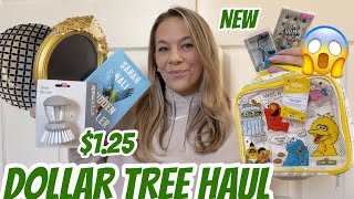 DOLLAR TREE HAUL  NEW  LARGE HAUL  NEW ITEMS  AMAZING FINDS [upl. by Romilly157]