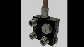 Palfinger Hydraulic Valve Repair [upl. by Wind774]