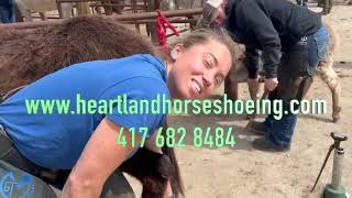 Heartland Horseshoeing School Best Farrier School [upl. by Ardnait]