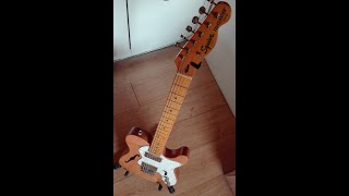 Thinline telecaster with wide range humbuckers is good for jazz [upl. by Naaitsirhc]