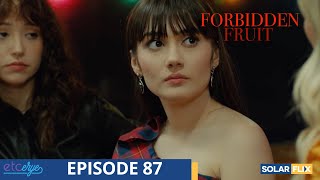 Forbidden Fruit Episode 87  FULL EPISODE  TAGALOG DUB  Turkish Drama [upl. by Adama787]