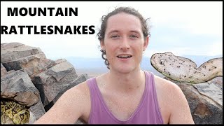 Looking For Speckled Rattlesnakes Arizona Monsoon Herping 2022  Herpin Hippie [upl. by Avaria]